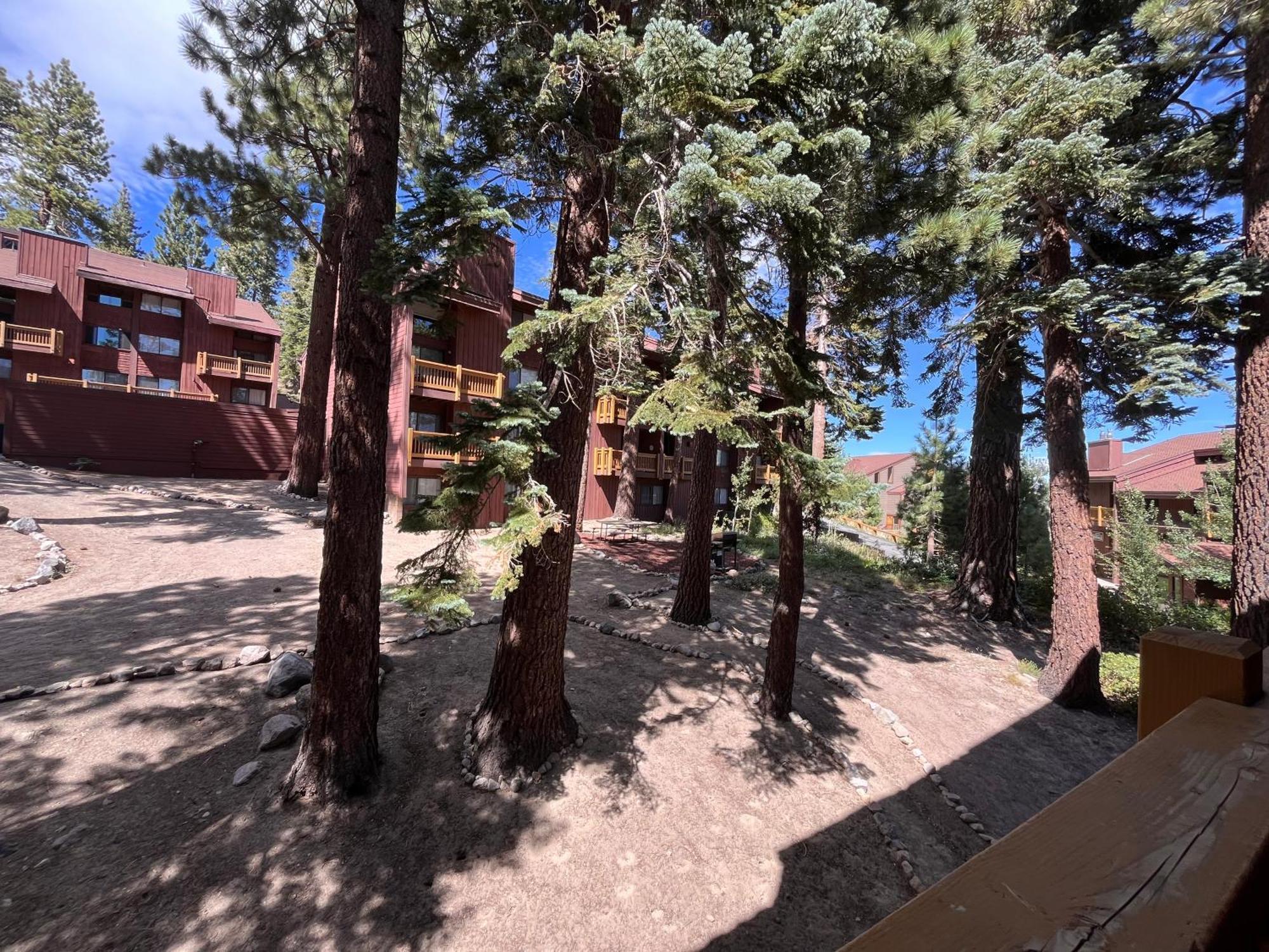 Tastefully Remodeled Condo At Mammoth Ski & Racquet Club, Hot Tub, Garage, 10 Min Walk To Ski Lifts Mammoth Lakes Exteriör bild